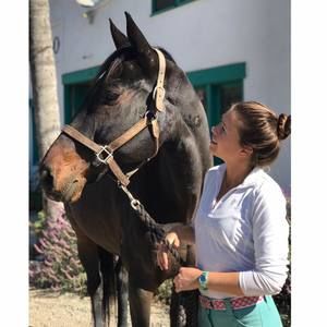 Meet your Posher, Ellen